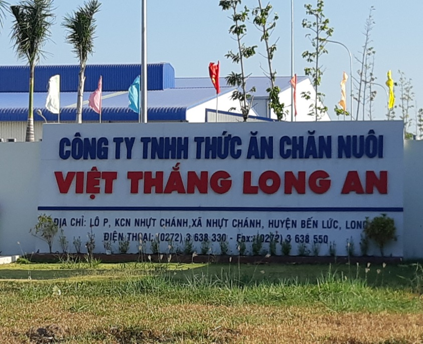 CÔNG TY TNHH THỨC ĂN CHĂN NUÔI VIỆT THẮNG LONG AN